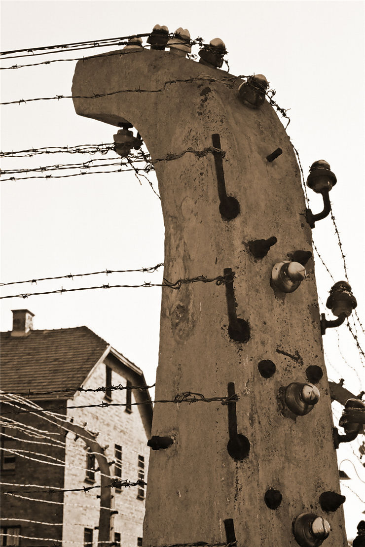 Picture Of Auschwitz